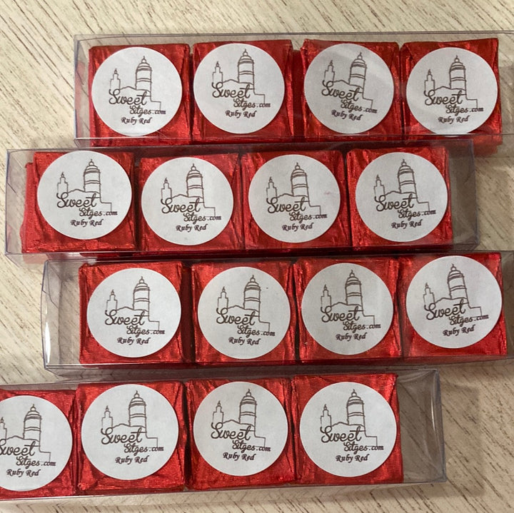 Chocolate Squares (Packaged)