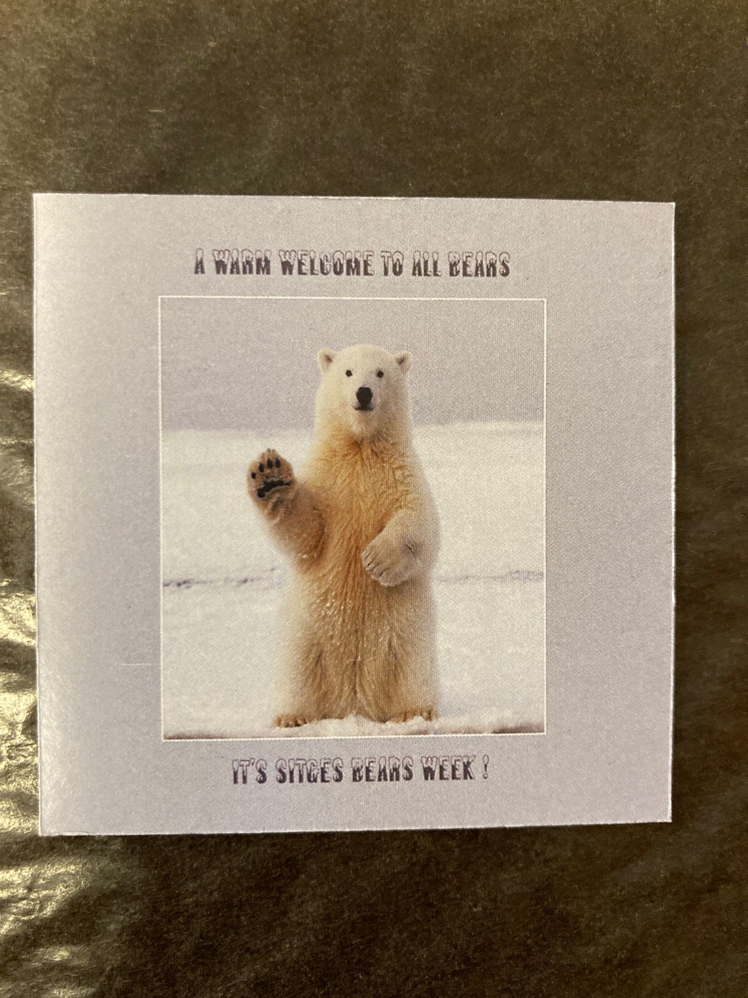 Catherine Hart Magnets