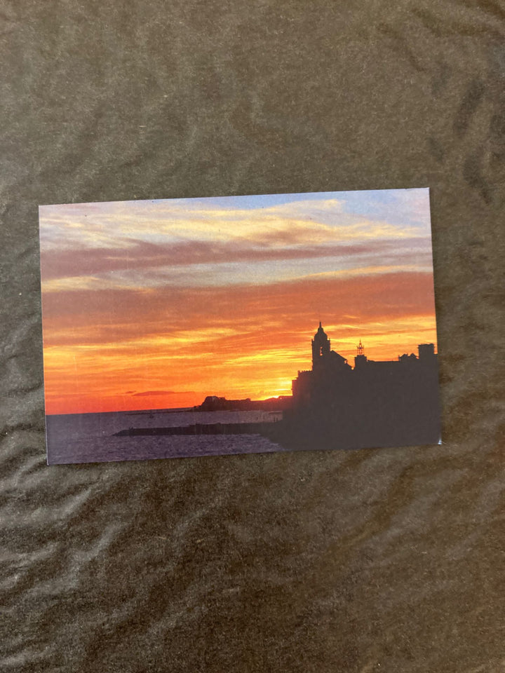 Catherine Hart Magnets