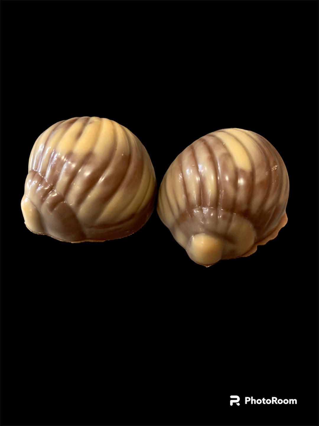 Seashell Praline Bonbon